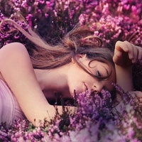 21张带薰衣草的唯美女生QQ头像合集