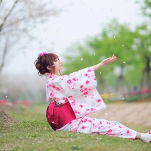 23张梦幻樱花女生头像！高清唯美氛围感拉满
