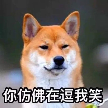 单身狗专属！这套又帅又机智的表情包火了