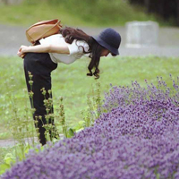 15张氛围感拉满！薰衣草女孩QQ头像合集