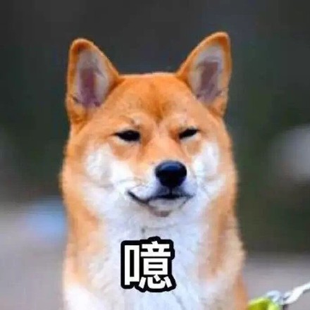 单身狗专属！这套又帅又机智的表情包火了