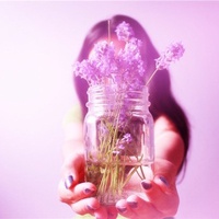 21张带薰衣草的唯美女生QQ头像合集