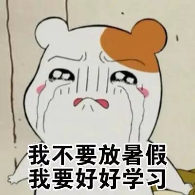 仓鼠管家学习表情包来啦