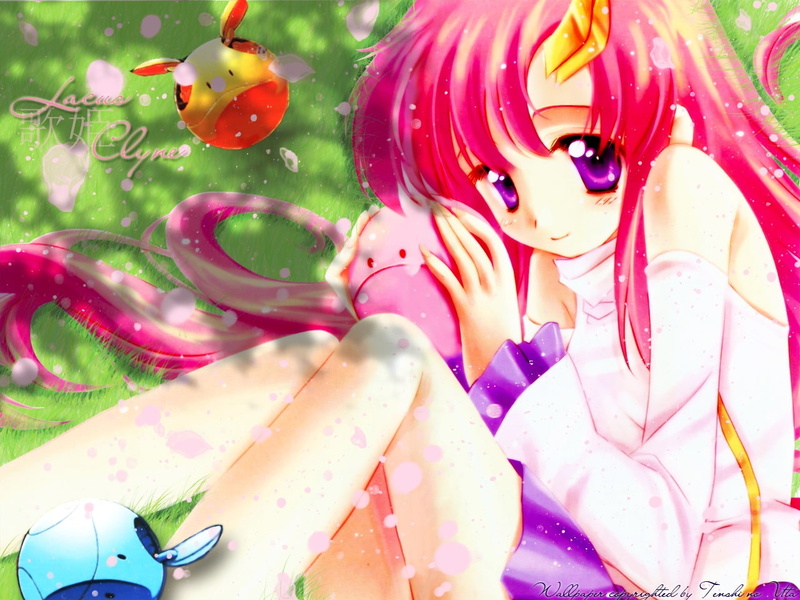 拉克丝·克莱茵高达SEED高清壁纸合集