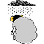 卷卷羊QQ表情包合集来啦