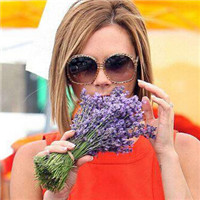 12张手拿薰衣草的唯美女生头像合集