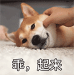 可爱柴犬QQ表情包合集