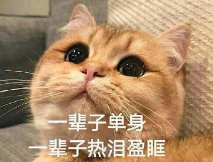 「一辈子单身，一辈子热泪盈眶」这套表情包火了，群聊斗图别错过