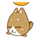 聊天斗图必备！这款小灰狗表情包太好用了