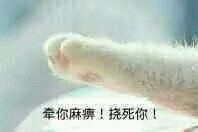 想牵你的手表情包合集