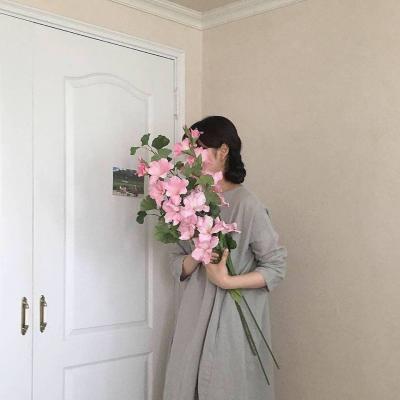 适合当抖音头像的女生背影图 高清无水印共33张