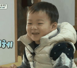 宋民国表情包合集来啦，每一张都软萌到心化