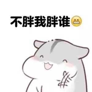 圆滚滚仓鼠表情包合集，可爱又戳中打工人痛点