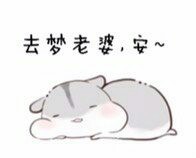 软萌仓鼠表情包合集 斗图聊天超好用