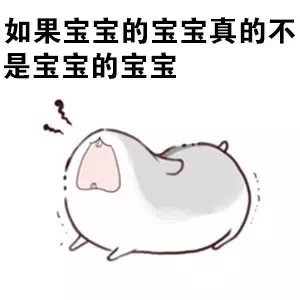 火出圈的仓鼠版绕口令表情包：宝宝的经纪人睡了宝宝的宝宝
