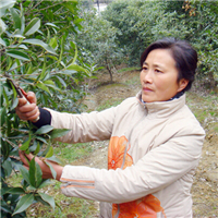 微信用的农村妇女头像 14张真实好看的实拍图