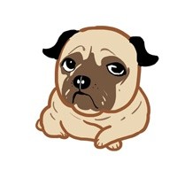 doge狗狗表情包合集来啦