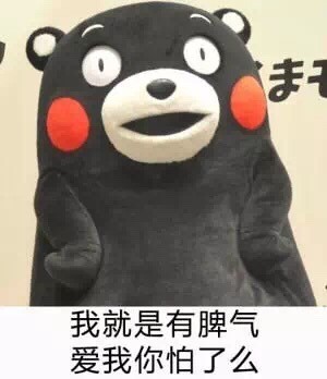 聊天必备！这套熊本熊表情包吐槽“中央空调”超好用