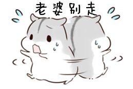 这款仓鼠表情包火了！台词是“说了多少次 老婆要听话”