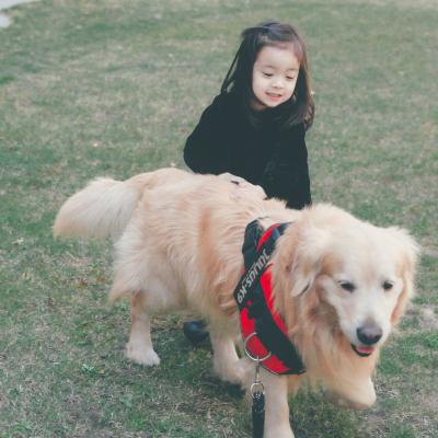 抱着宠物的可爱小女孩头像合集 软萌感拉满