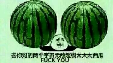 你个小西瓜表情包合集来啦