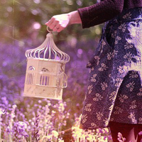 15张氛围感拉满！薰衣草女孩QQ头像合集