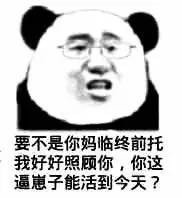 熊猫金馆长熬夜梗表情包：大白天不睡等着猝死？