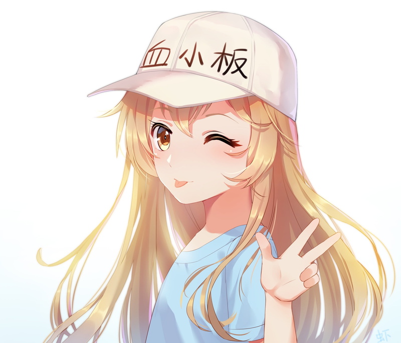 《工作细胞》血小板1080P高清壁纸来了