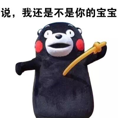 搞怪又带点“小污”的熊本熊表情包来啦
