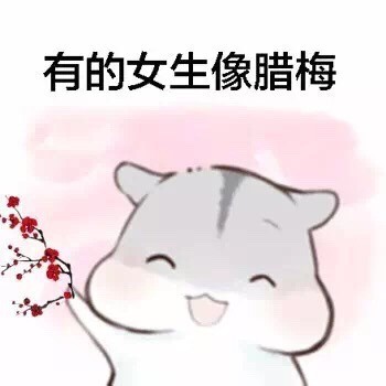 女生版仓鼠斗图梗！“有的女生像白莲花”表情包整活来了