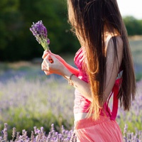 21张带薰衣草的唯美女生QQ头像合集