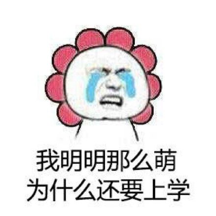 救命！终于还是到开学这天了