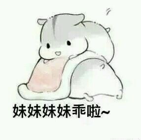 可爱仓鼠表情包合集 聊天斗图超好用