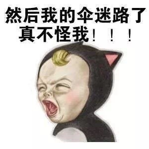 我的伞迷路了 真不怪我！Sadayuki这套表情包太真实了