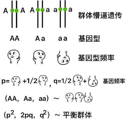 玩梗新花样！懵逼系列又出新公式表情包了
