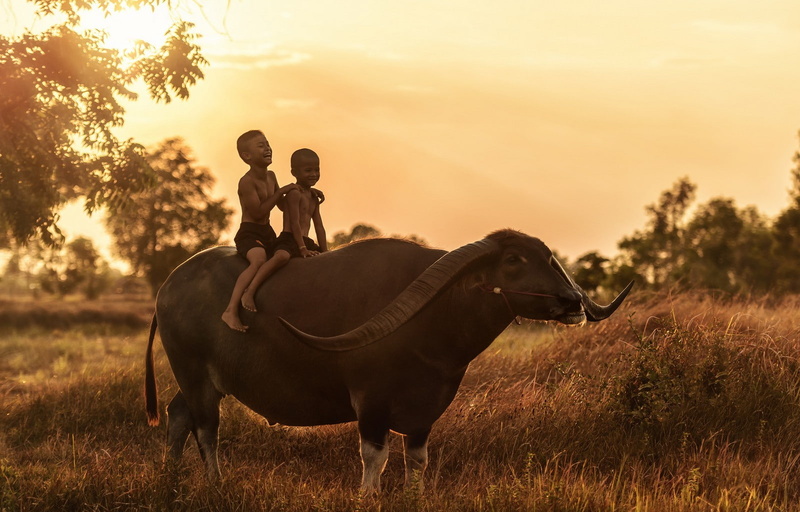 泰国乡村骑乘场景壁纸合集