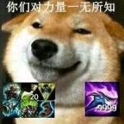 超全狗狗表情包合集！斗图就用这些汪星人梗图