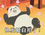 心动时刻用得上！面对喜欢的人专属QQ表情包合集