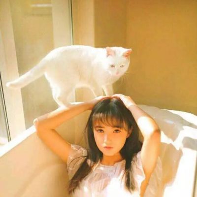 18张高清唯美QQ女生抱猫头像合集