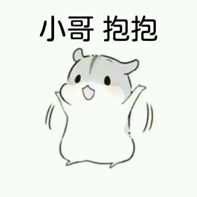 可爱仓鼠表情包合集 聊天斗图超好用