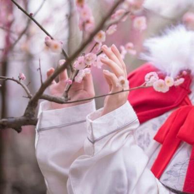 古风手控女生头像来啦！18张高清唯美手部特写头像合集