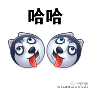 全网最全二哈表情包合集，斗图就靠它了