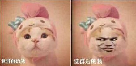 颜值高的烦恼你懂吗？这篇表情包告诉你答案