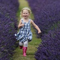 女生薰衣草头像合集！39张置身花海的氛围感美女头像