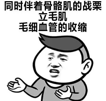 天冷单身党取暖全靠抖？这套表情包精准戳中打工人笑点
