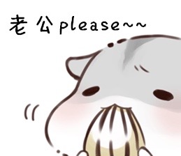 可爱仓鼠表情包合集，聊天斗图超好用