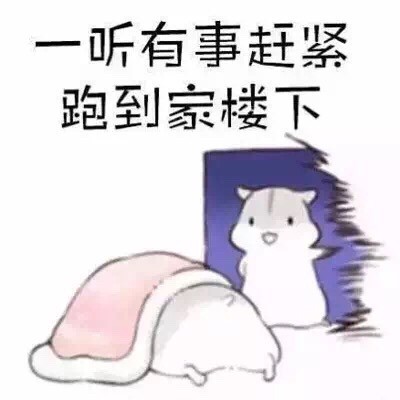 软萌仓鼠表情包合集，聊天斗图都能用
