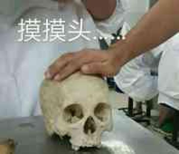 这款骷髅头表情包 医学生斗图专用