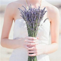 12张手拿薰衣草的唯美女生头像合集