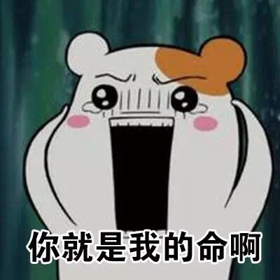 仓鼠管家搞怪表情包合集